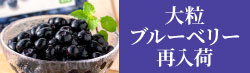 ブルーベリー