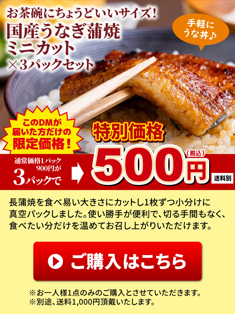 ミニカット3パックセット