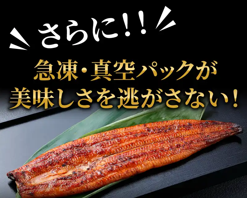 急速冷凍・真空パック