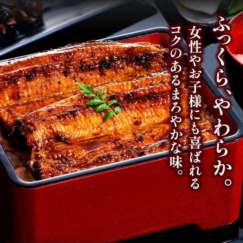 国産うなぎ蒲焼き うなっ娘2尾 うなぎのお取り寄せなら大五うなぎ工房