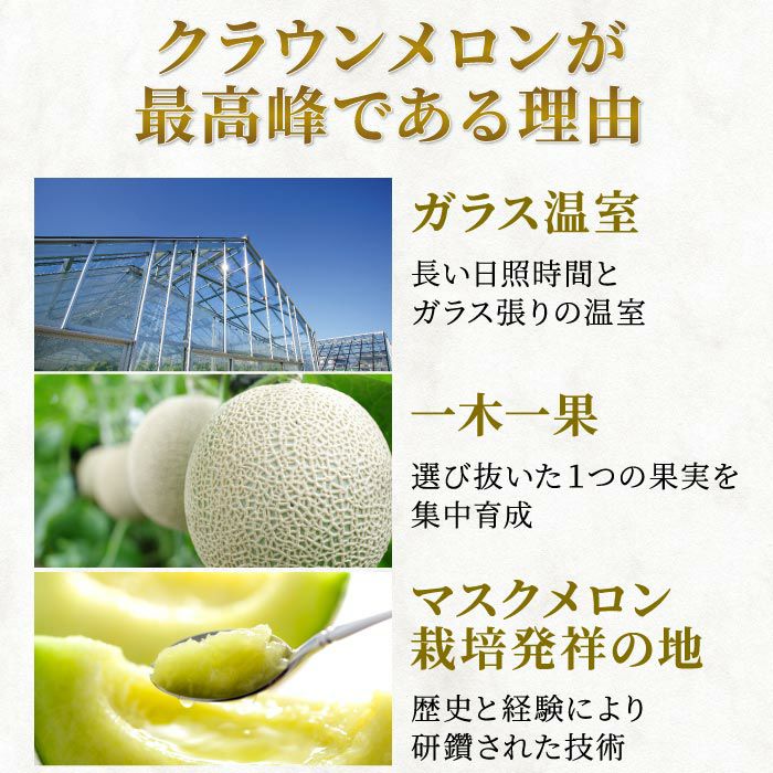 静岡県産マスクメロン クラウンメロン 1.2kg×1玉 ｜ メロンの通販なら