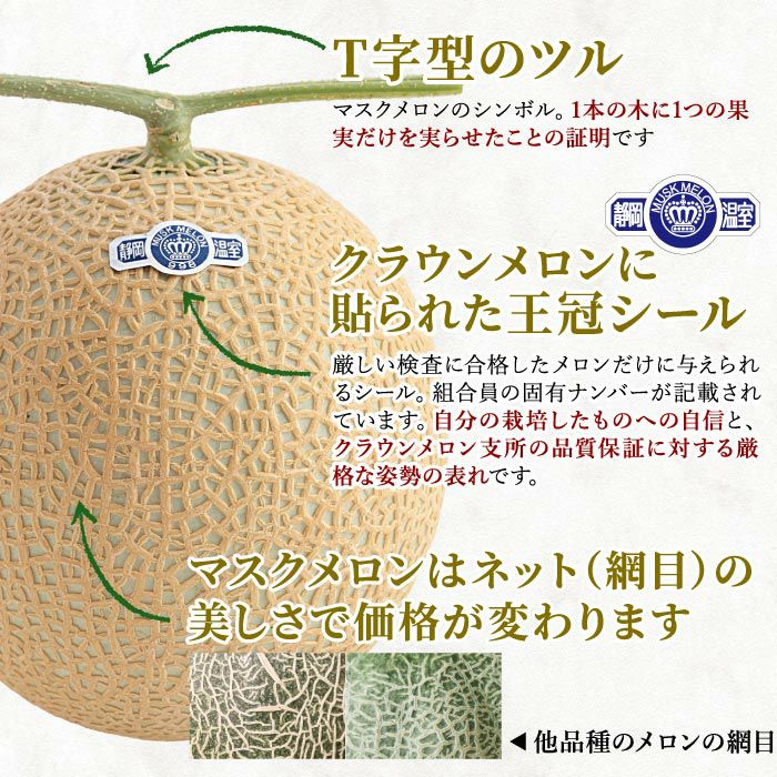 静岡産マスクメロン クラウンメロン 1.2kg×2玉セット ｜ メロンの通販