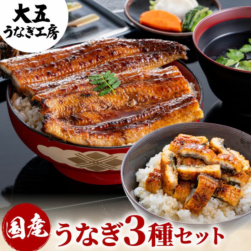 国産うなぎの通販・お取り寄せなら 大五うなぎ工房本店 国産うなぎの通販・お取り寄せなら 大五うなぎ工房本店