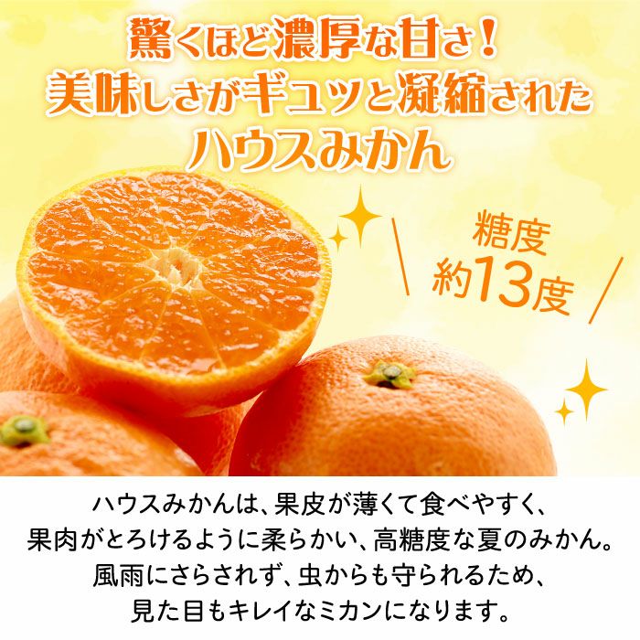静岡県産ハウスみかん 夏の宝石 エレ・ミカン2.5kg ｜ みかんのお