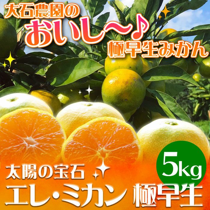 静岡県産 エレ・ミカン 極早生5kg ｜ 静岡県産みかんなら大五うなぎ工房