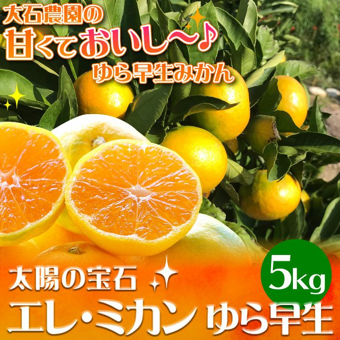 静岡県産 エレ・ミカン ゆら早生5kg ｜ 静岡みかんなら大五うなぎ工房