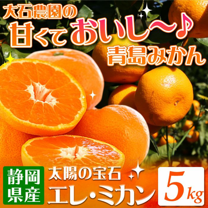 静岡県産みかんの定番 青島みかん5kg エレ・ミカン 送料無料│大五