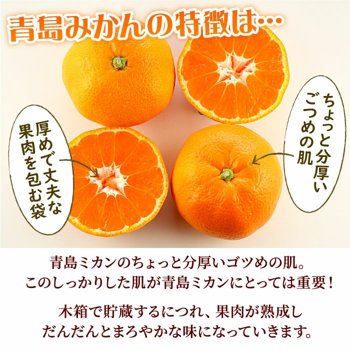 静岡県産みかんの定番 青島みかん10kg エレ・ミカン 送料無料│大五 静岡県産みかんの定番 青島みかん10kg エレ・ミカン 送料無料│大五