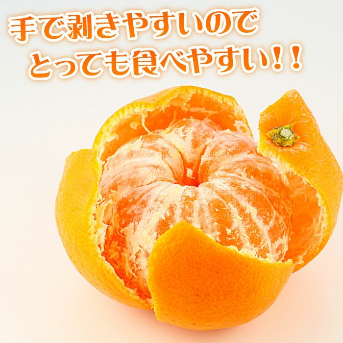 静岡県産みかんの定番 青島みかん10kg エレ・ミカン 送料無料│大五