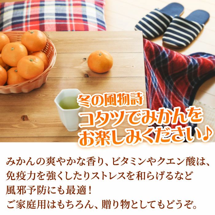 静岡県産みかんの定番 青島みかん10kg エレ・ミカン 送料無料│大五