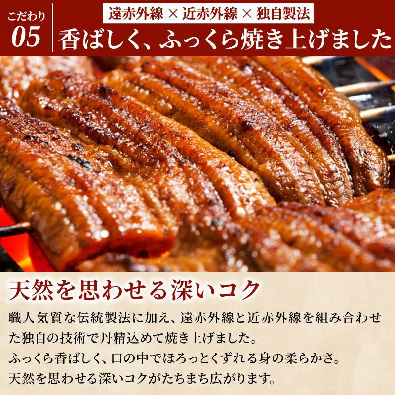 うなぎギフト 国産うなぎ 長蒲焼2尾セット｜うなぎ通販なら大五うなぎ