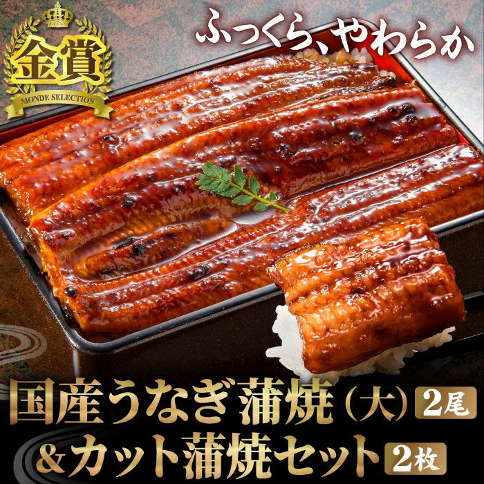 国産うなぎ蒲焼（大）2尾＆カット蒲焼のセット 通販専門大五うなぎ工房本店