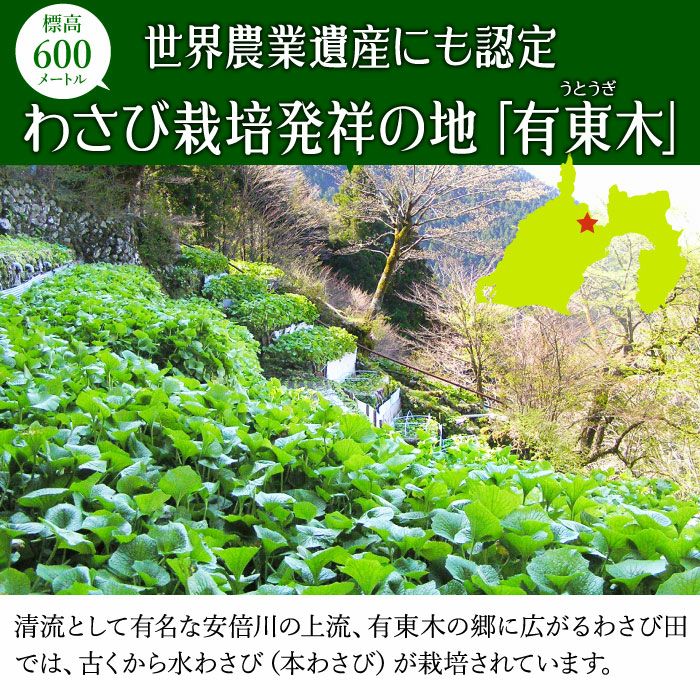 わさび栽培発祥の地「有東木」 本わさび1本＆おろし金 ｜ ワサビのお 