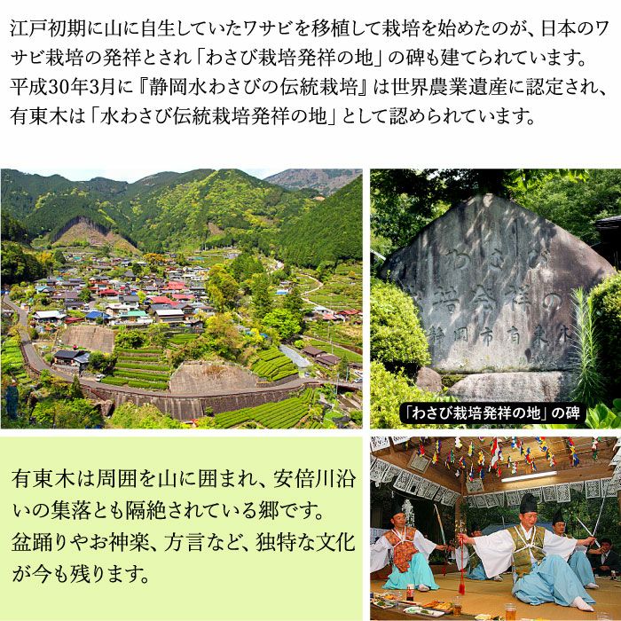 わさび栽培発祥の地「有東木」 本わさび1本＆おろし金 ｜ ワサビのお