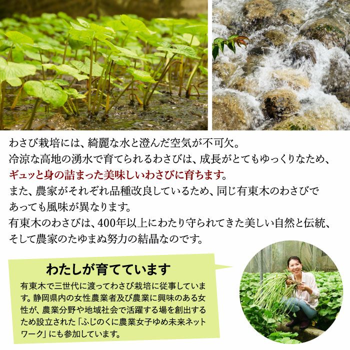 わさび栽培発祥の地「有東木」本わさび3本＆おろし金 ｜ ワサビのお