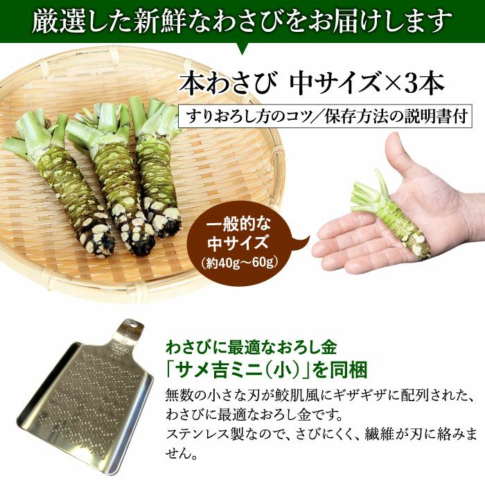 わさび栽培発祥の地「有東木」本わさび3本＆おろし金 ｜ ワサビのお