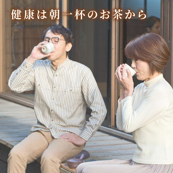 静岡の誇る高級茶 特上川根茶100g×2袋 贈答用ギフトボックス ｜ 大五
