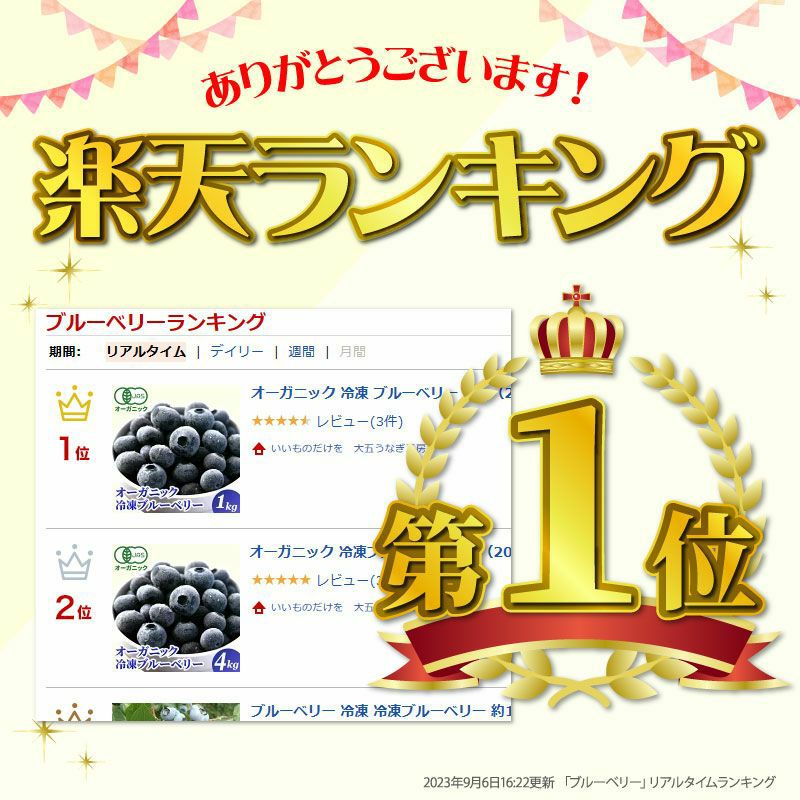 無農薬 冷凍オーガニックブルーベリー1kg（200g×5パック） 有機JAS