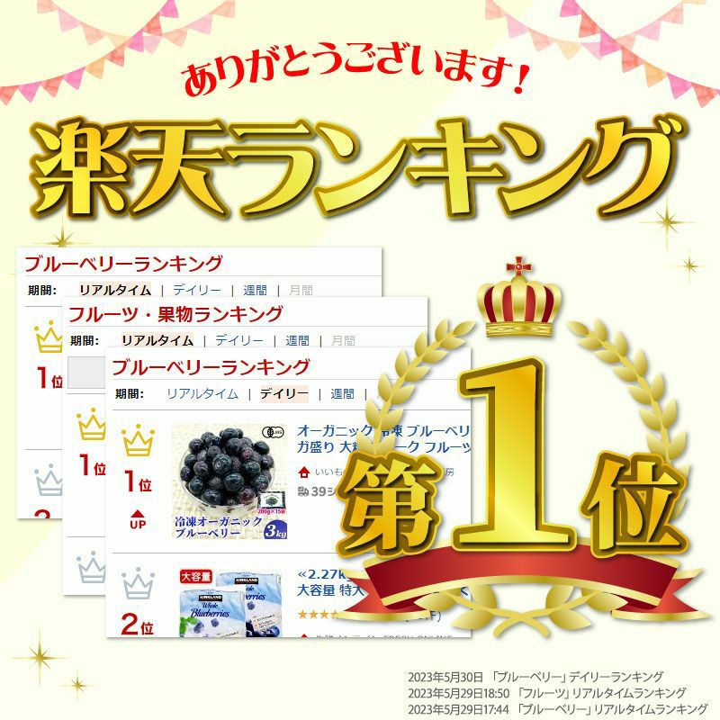 無農薬 冷凍オーガニックブルーベリー3kg（200g×15パック） | 大五