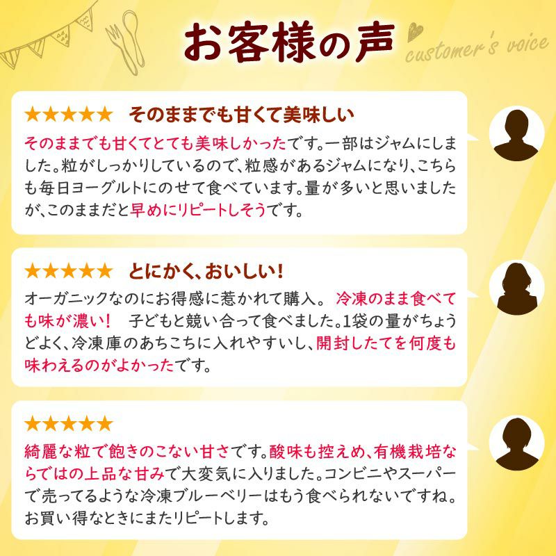 無農薬 冷凍オーガニックブルーベリー3kg（200g×15パック） | 大五