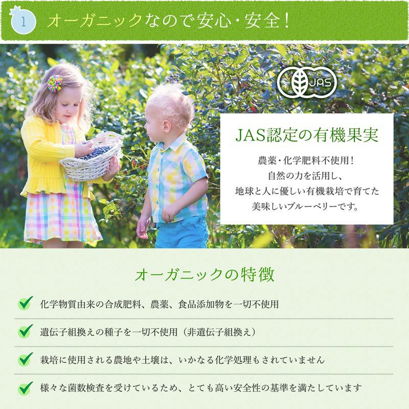 無農薬 冷凍オーガニックブルーベリー3kg（200g×15パック） | 大五