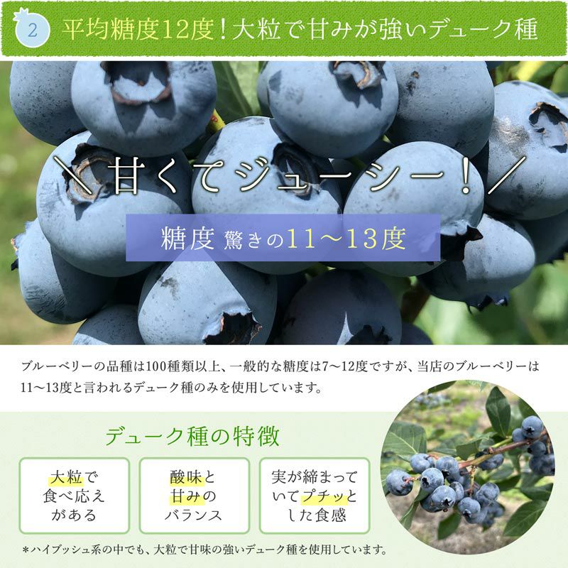 無農薬 冷凍オーガニックブルーベリー3kg（200g×15パック） | 大五