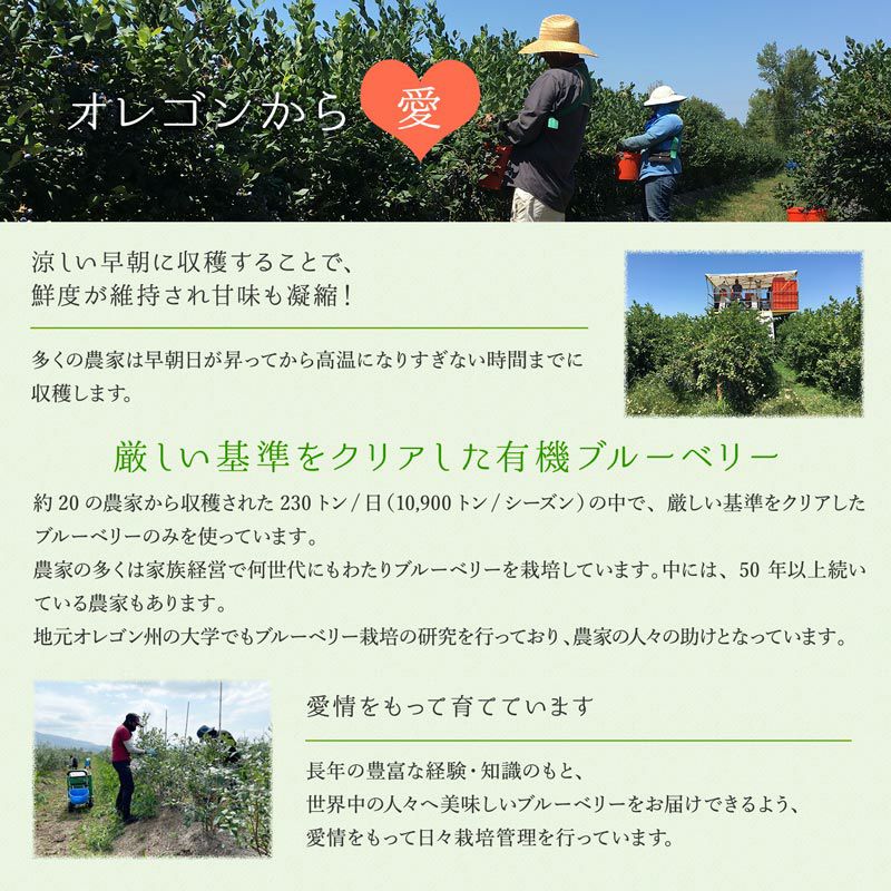 ポイント10倍】無農薬 冷凍オーガニックブルーベリー3kg（200g×15