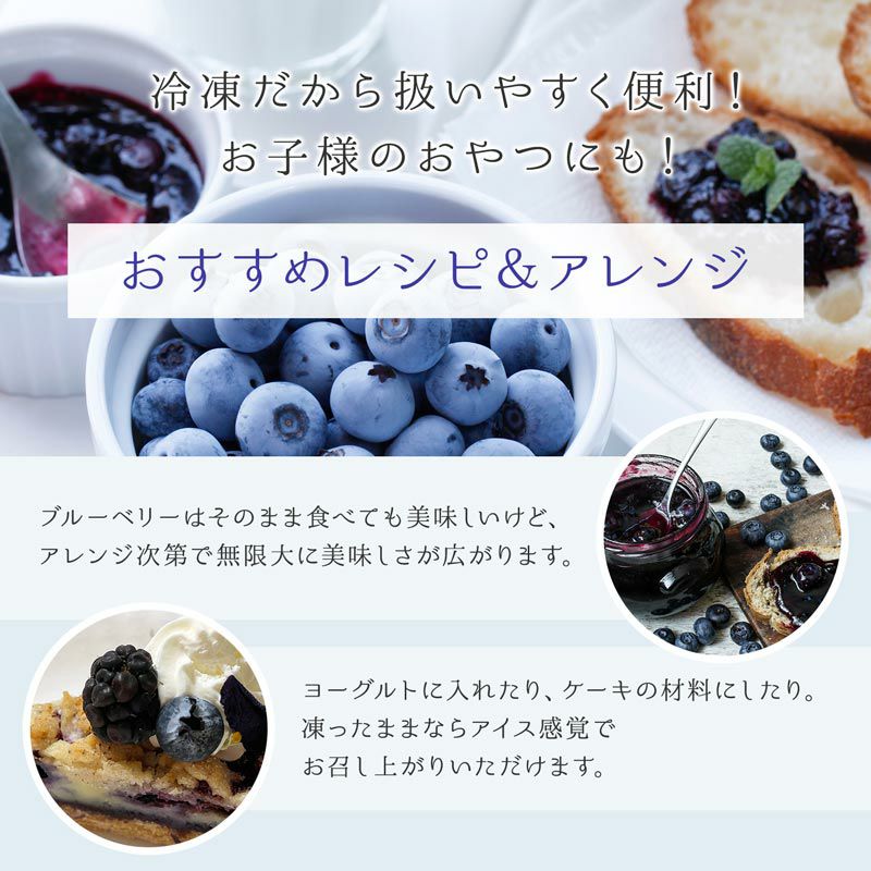 無農薬 冷凍オーガニックブルーベリー4kg（200g×20パック） 有機JAS