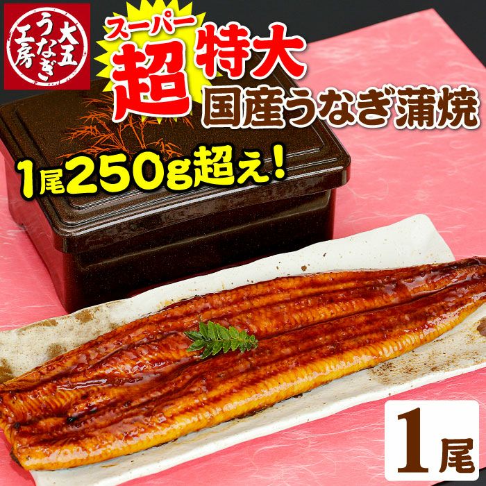000000000609-01.jpg?size=m&w=