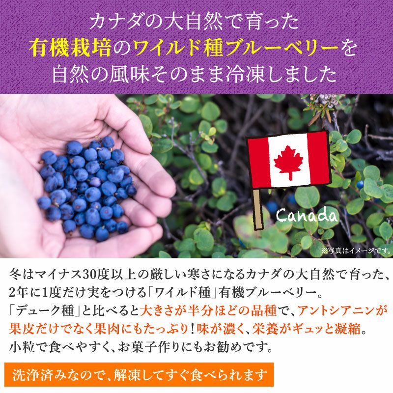 冷凍オーガニックワイルドブルーベリー | 大五うなぎ工房 公式WEB