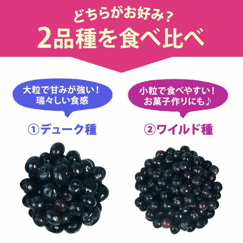 無農薬 オーガニック冷凍ブルーベリー2品種食べ比べセット800g