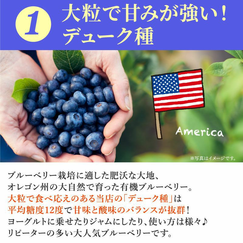 000000000655-09.jpg?size=l&w=