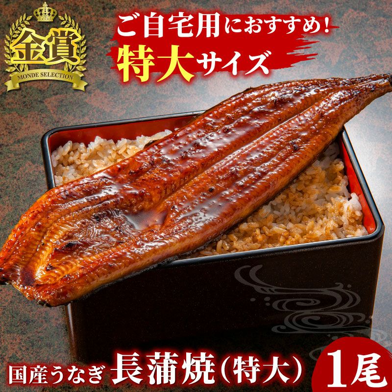 うなぎ蒲焼160g | 大五うなぎ工房 公式WEBショップ