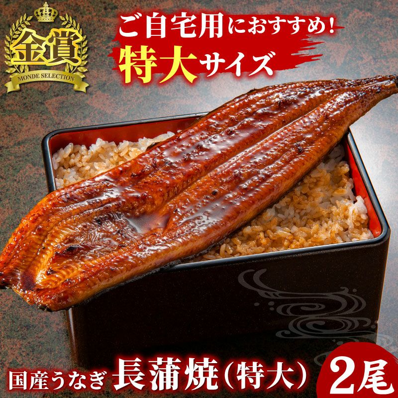 うなぎ蒲焼160g | 大五うなぎ工房 公式WEBショップ