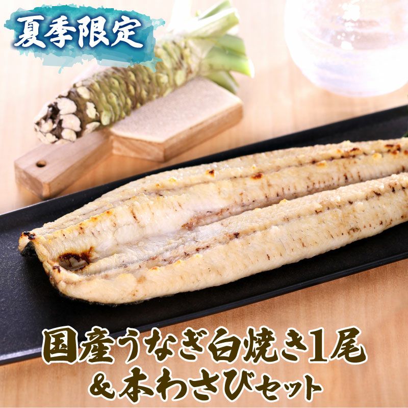 国産うなぎ白焼き1尾＆本わさび1本セット ｜ 極上グルメのお取り寄せ