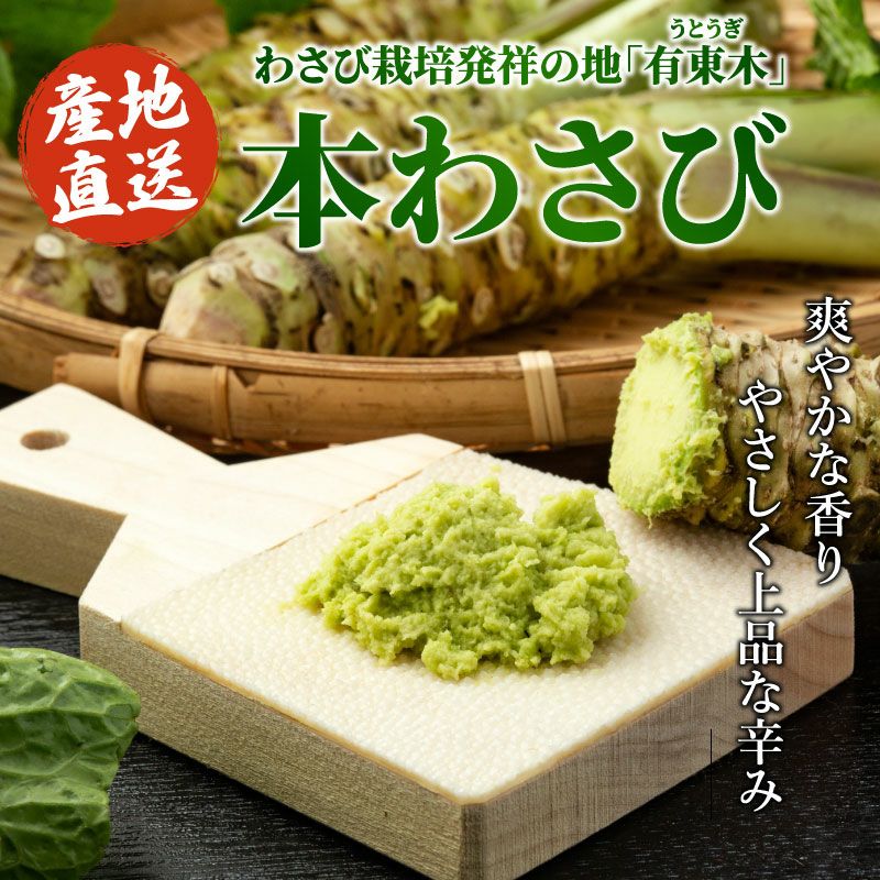 国産うなぎ白焼き1尾＆本わさび1本セット ｜ 極上グルメのお取り寄せ