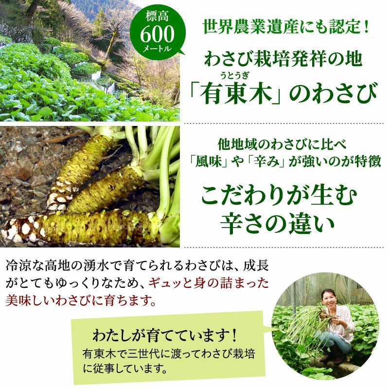 国産うなぎ白焼き1尾＆本わさび1本セット ｜ 極上グルメのお取り寄せ