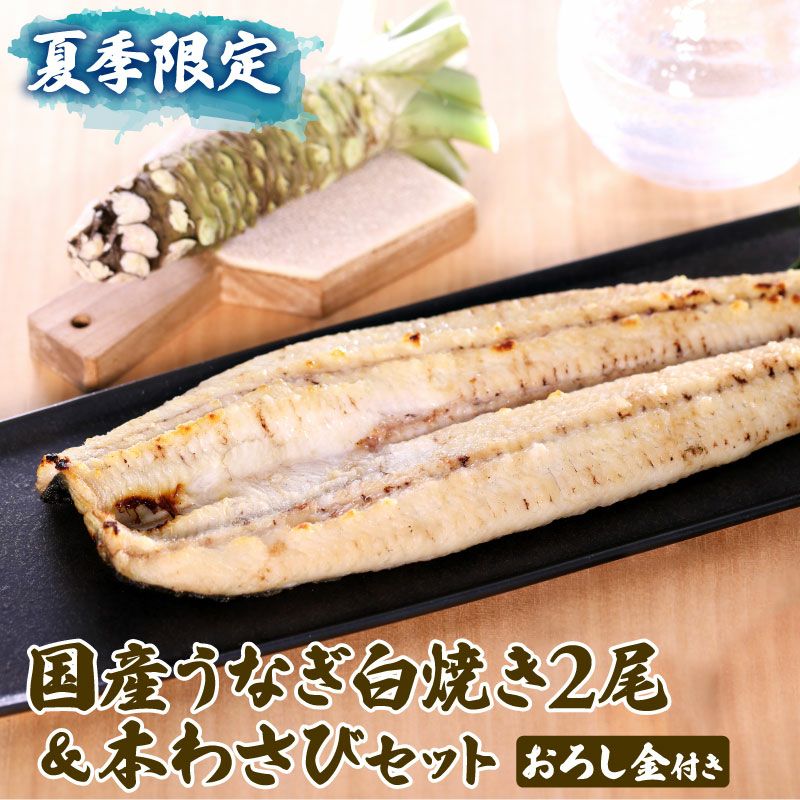 国産うなぎ白焼き2尾＆本わさび1本セット【おろし金付き】 極上グルメ