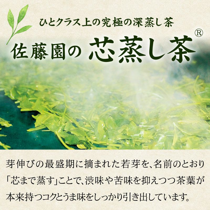 静岡茶 安倍の清流 100g×5袋 ＜真空パック＞ | 大五うなぎ工房 公式