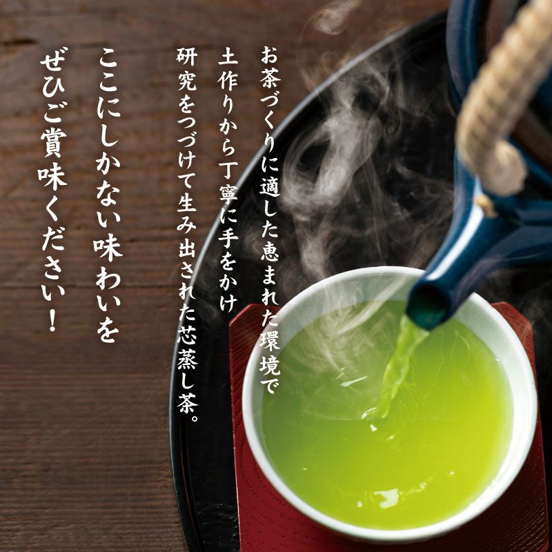 静岡茶 安倍の清流 100g×5袋 ＜真空パック＞ | 大五うなぎ工房 公式